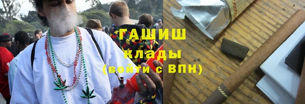 сатива Ельня